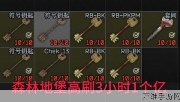 地下城堡探险致富经,揭秘金币速刷秘籍与高效攻略