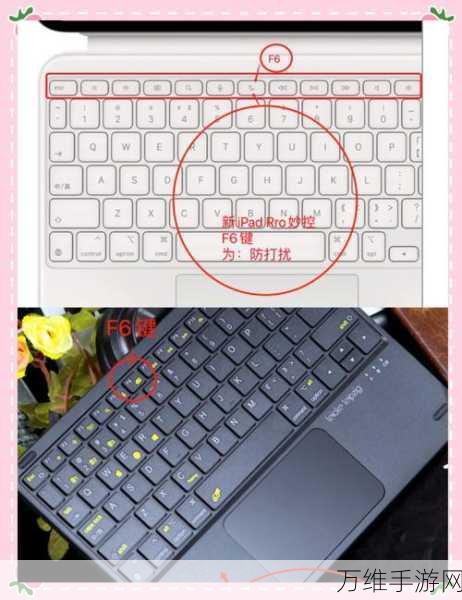 苹果新款iPad Pro惊喜升级,完美兼容旧款妙控键盘,提升效率再升级!