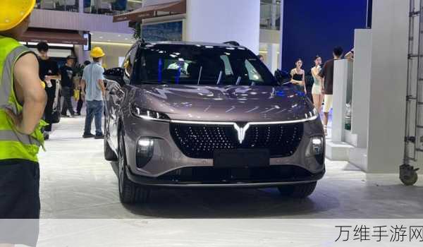 岚图知音震撼登场!2024用户之夜盛典揭秘岚图新车魅力与互动亮点