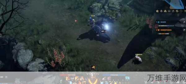 命运方舟,萌宠相伴,探险之旅更添乐趣——宠物功能深度解析