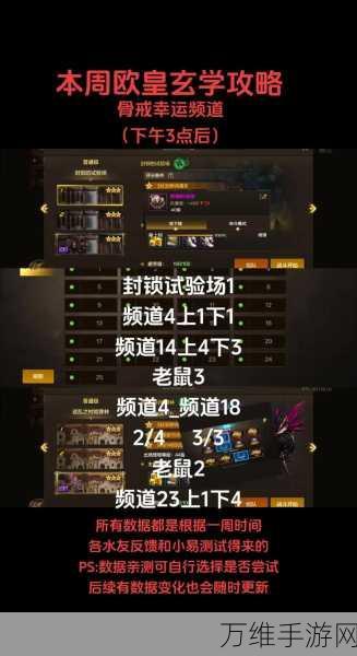 DNF手游深度攻略,二次觉醒技能全剖析与资源高效利用策略