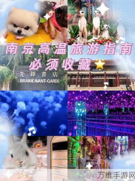 冰原守卫者探险指南,揭秘冰冻苔原的进入之道