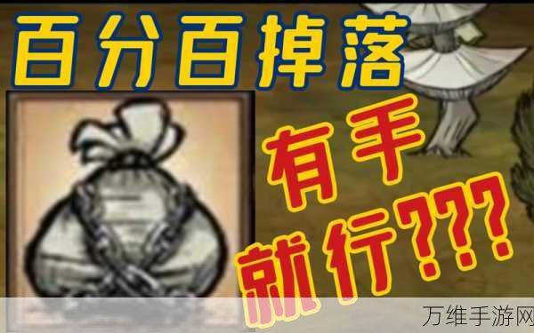 饥荒联机版攻略,揭秘小偷背包的获取之道