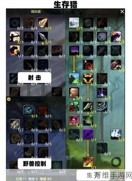 魔兽世界怀旧服Plus深度解析,奥法法师挑战难度与DPS巅峰