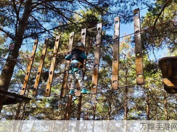 畅玩无广告的绳索冒险之旅