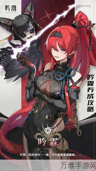 鸣潮吟霖技能全解析，掌握核心玩法，征服游戏战场