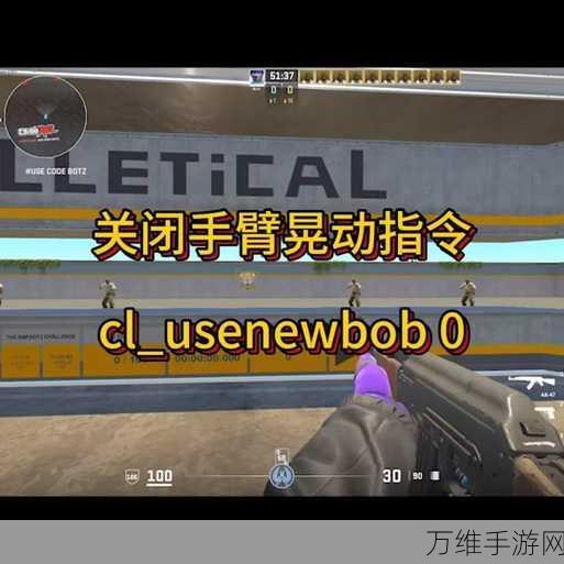 CS2手臂调整秘籍,掌握伸长手臂指令,提升游戏竞技力