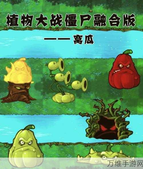 免费畅玩!岩石爆炸射手,超有趣益智挑战等你来