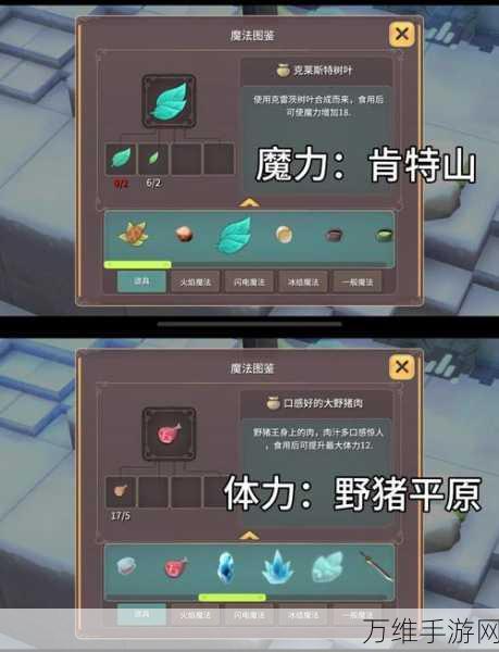 魔女之泉3深度攻略,贝贤达角色全解析与能力资源管理秘籍