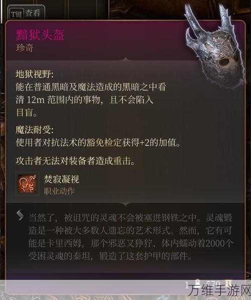 博德之门3,猎人功能性Build深度解析与实战推荐