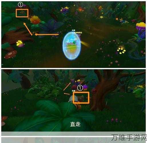 摩尔庄园探险指南,揭秘黑森林宝箱的神秘位置