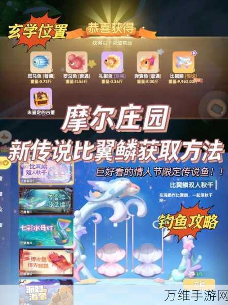 摩尔庄园深度攻略，高效获取银矿石的秘诀大公开