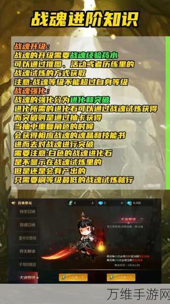 超级地城之光职业哪个好_超级地城之光职业选择推荐