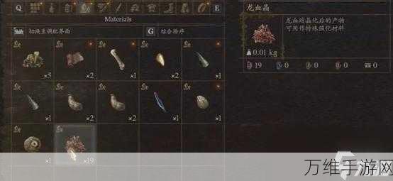 龙之信条2前期速刷顶级盔甲装备全攻略,新手必备的高效获取途径