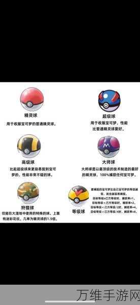 口袋妖怪BW,揭秘海獭球全面技能表与战斗策略