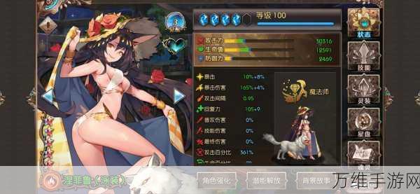 苍蓝境界火弓角色技能加点深度解析,精准策略,解锁战力新高度