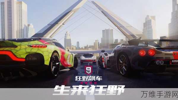 激情狂飙,我开豪车养你——体育竞技手游的极致魅力