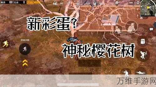 绝地求生刺激战场,探寻樱花树神秘位置,解锁隐藏彩蛋