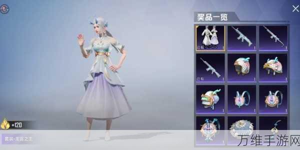 和平精英龙宫之主皮肤抽奖全解析,花费几何,惊喜何在?