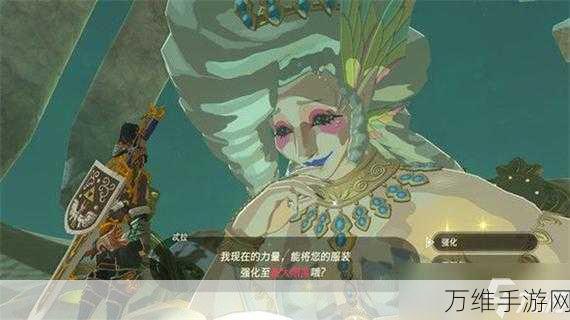 塞尔达传说王国之泪,揭秘勇气之泉女神像任务的神秘步骤与奖励