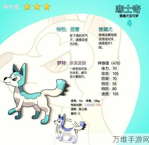 冰原守卫者,龙宠养成攻略,揭秘最强龙宠选择!