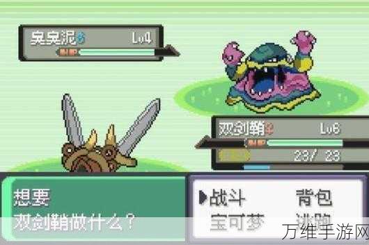 口袋妖怪绿宝石手机版,精彩休闲冒险之旅等你开启