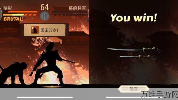 暗影格斗 2 特别版,神秘冒险之旅等你来战