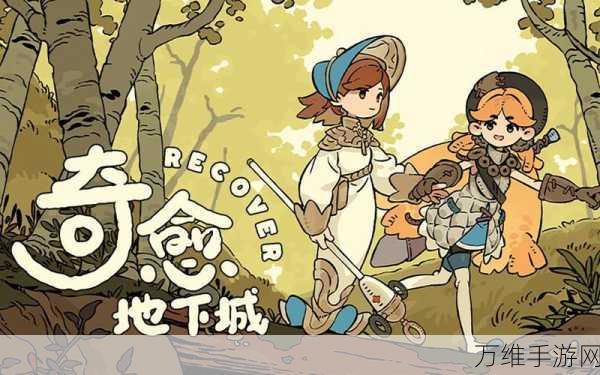 地下城与命运,挑战与乐趣交织的奇幻之旅