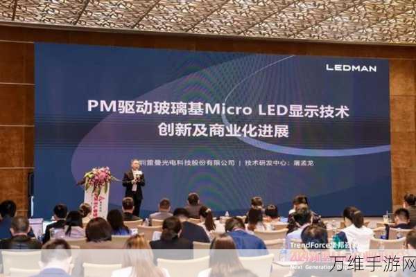 手游界新动向,雷曼光电与辰显光电携手,共创游戏视觉盛宴