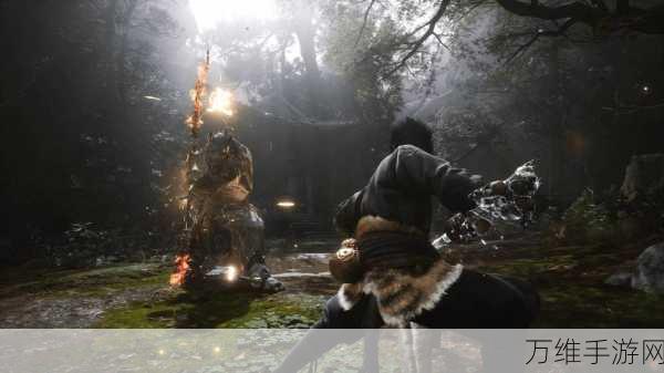 黑神话,悟空双猴之谜,揭秘游戏背后的深度设定