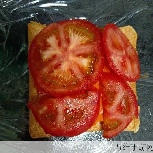 三明治叠叠乐,畅享独特堆叠乐趣
