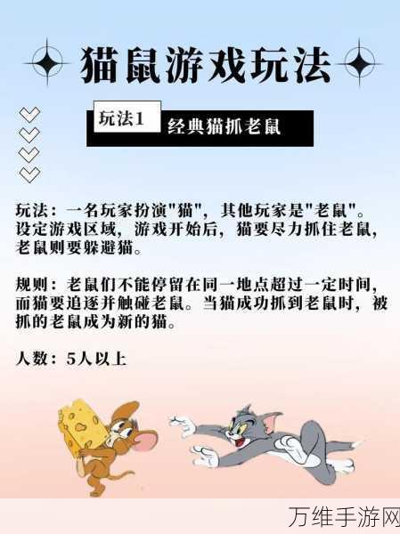 趣味无限!捉迷藏逃脱猫咪安卓游戏攻略秘籍