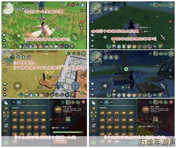 蓝马驯服秘籍,创造与魔法中的高效捕捉策略