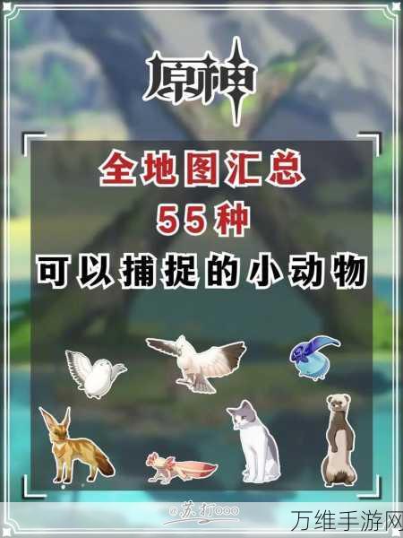 原神探索自然奥秘,动物行为全攻略