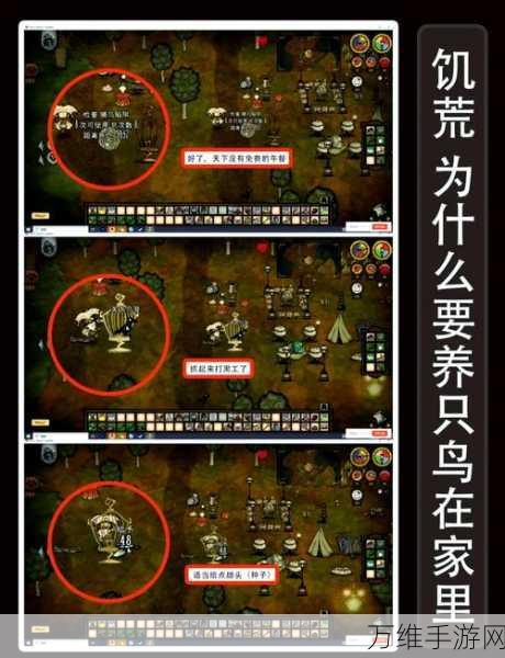 饥荒世界深度揭秘,五大鲜为人知的奇妙冷知识与生存技巧