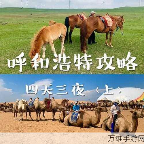 奥拉星手游,揭秘一意梦境列车通行码获取攻略,赢取稀有奖励!