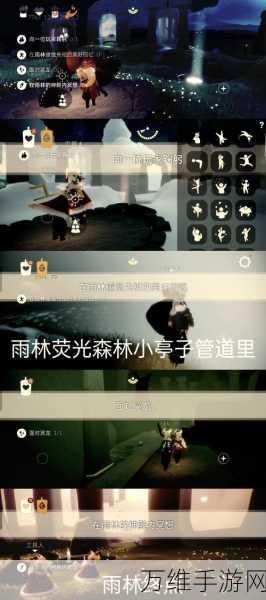 光遇雨林集结季树屋任务全攻略,解锁隐藏奖励,轻松达成目标