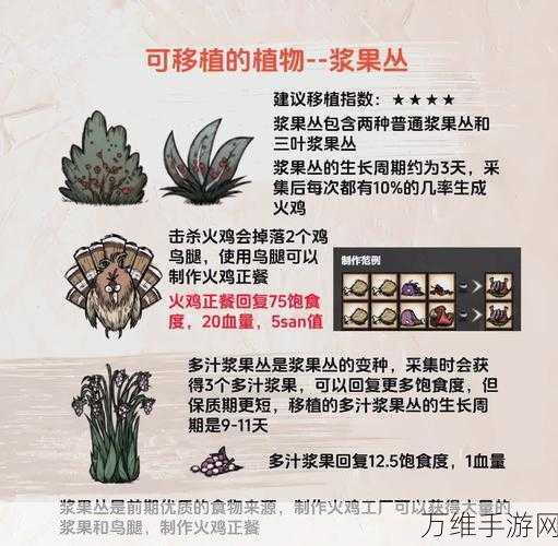 饥荒全植物图鉴大揭秘，新手必备生存指南