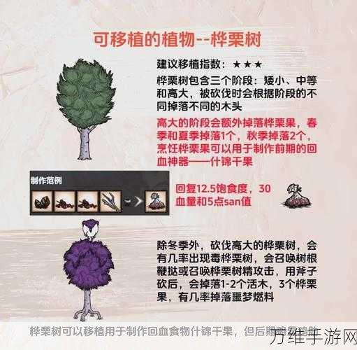 饥荒全植物图鉴大揭秘，新手必备生存指南