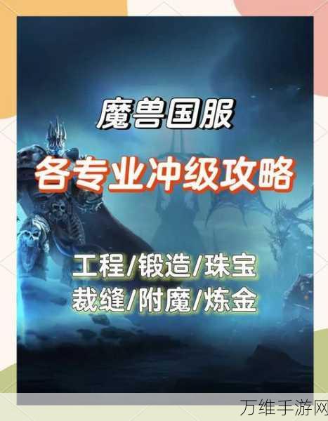 魔兽国服新手攻略，独行侠的职业选择指南