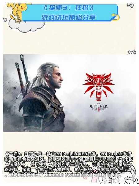 巫师3狂猎,全代码解锁秘籍大公开,游戏探索再升级!