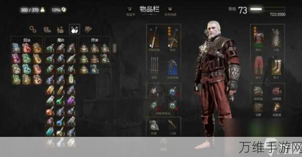 巫师3狂猎,全代码解锁秘籍大公开,游戏探索再升级!