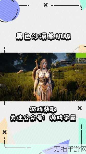 黑色沙漠手游,全面解析收费模式与游戏特色