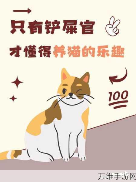 喵了个喵,畅享趣味无限的休闲之旅