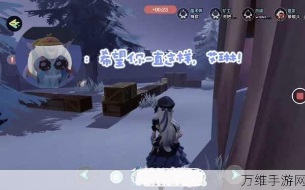 艾琳传奇深度攻略,常见问题全解析与竞技技巧揭秘