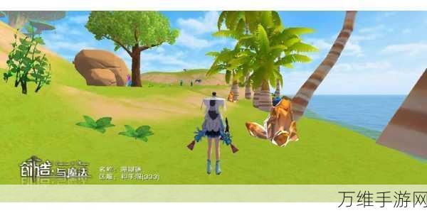 手游飞行新纪元，创造与魔法高效飞行资源管理秘籍