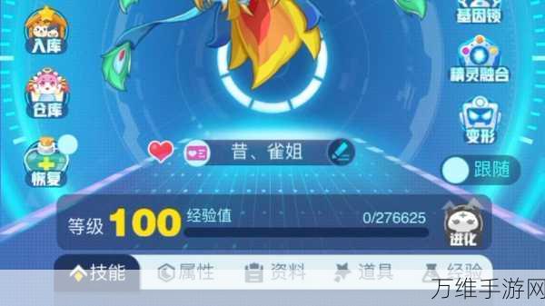 天使白熊养成秘籍,解锁超级精灵手表顶尖战力之路