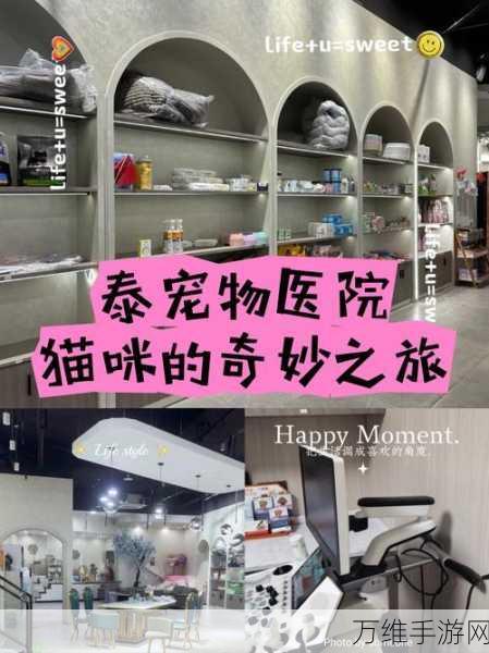 猫咪二重奏，音乐闯关的奇妙之旅