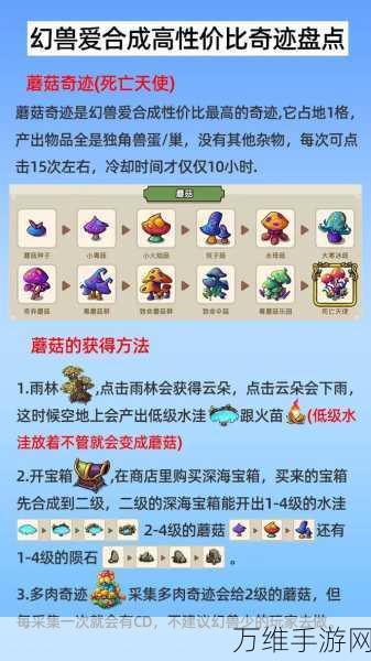 手游攻略,揭秘创造与魔法独角兽饲料配方及养成秘籍