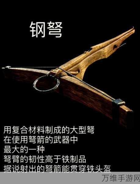 艾尔登法环开荒利器揭秘,老头环开荒武器精选指南